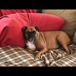 Meet your Posher, Joan